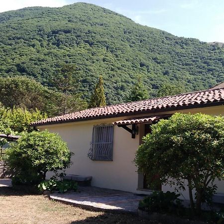 Agriturismo Collevento Trecchina Eksteriør bilde
