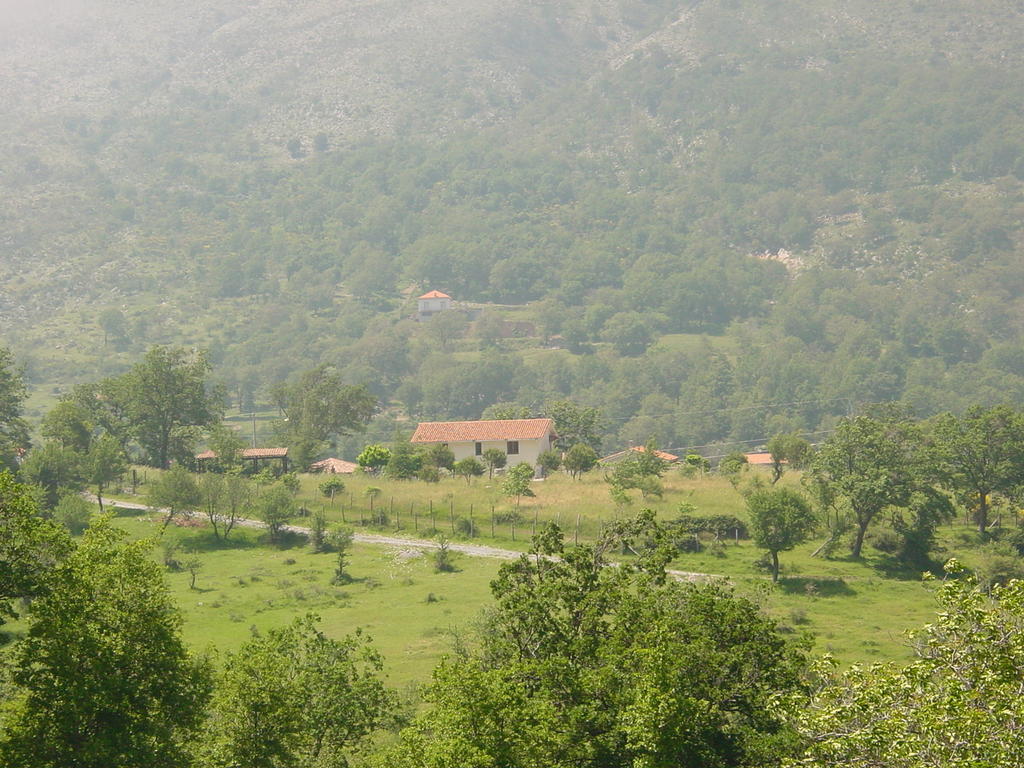 Agriturismo Collevento Trecchina Eksteriør bilde