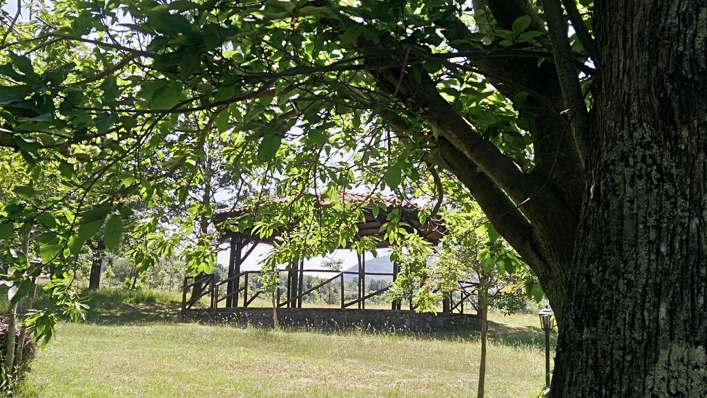 Agriturismo Collevento Trecchina Eksteriør bilde